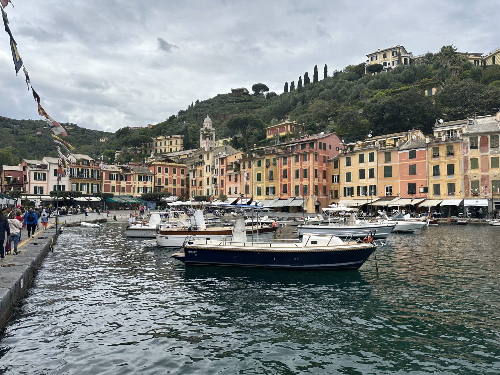 Contact Barrie Jarrett